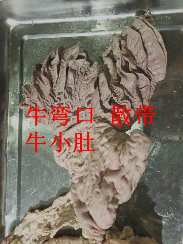 半熟牛散带 小肚 弯口 整箱价格 1箱40斤 可加工全熟 咨询客服