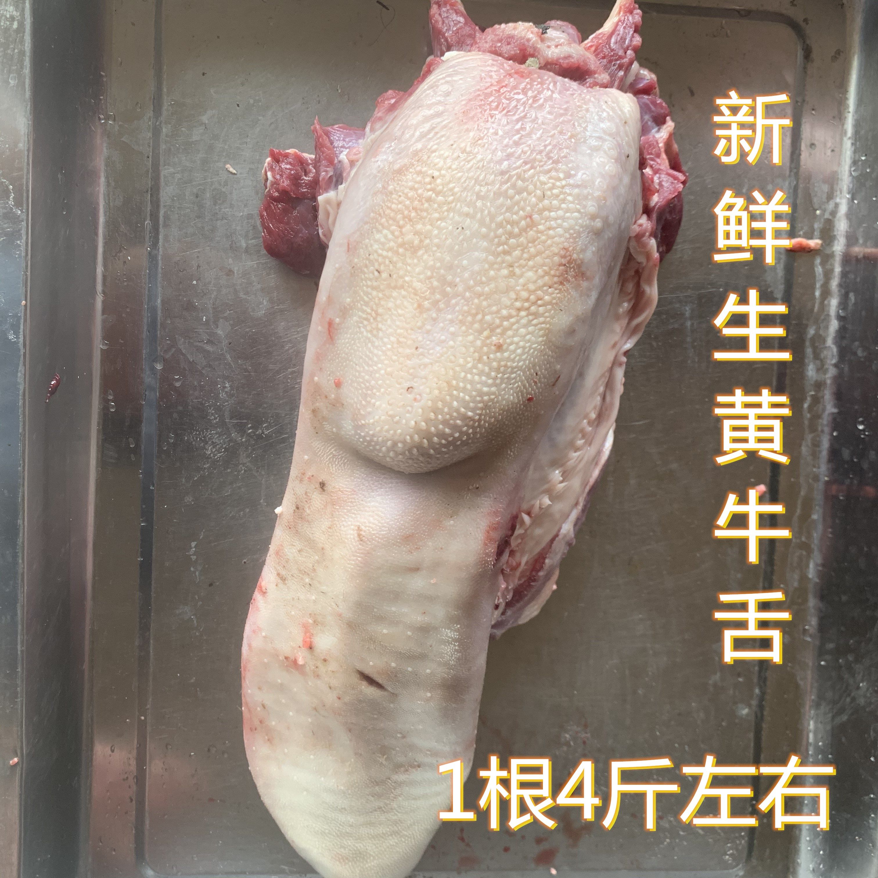 牛舌头 新鲜牛舌头 牛口条黄牛牛舌 生牛舌 国产包邮