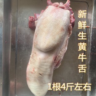牛舌头 新鲜牛舌头 牛口条黄牛牛舌 生牛舌 国产包邮