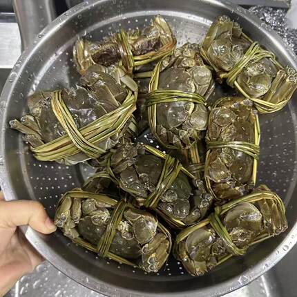 （精品）可以清蒸的六月黄，多规格（包活）