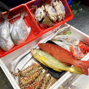 舟山热气新鲜海鲜过年海鲜礼盒黄鱼鲳鱼带鱼礼包