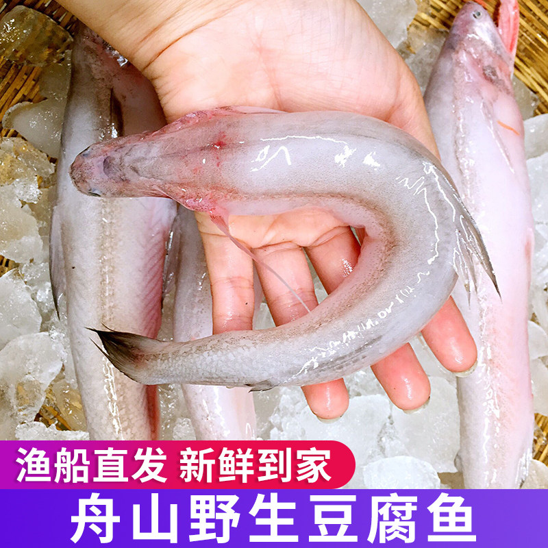舟山新鲜豆腐鱼虾龙头3斤/份