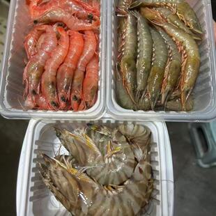 精品舟山三大野生海虾组合青壳虾1盒+竹节虾1盒+红虾1盒
