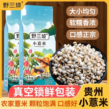 [真空装]新鲜贵州小薏米新货薏米仁薏仁米苡仁五谷杂粮粗粮油5斤