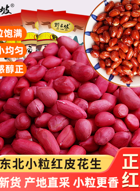 东北红衣生花生米500g黑龙江四粒红花生仁新鲜红皮不带壳生的新货