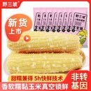 野三坡新鲜采摘黄糯玉米白糯玉米10棒真空粘糯玉米苞米旗舰店