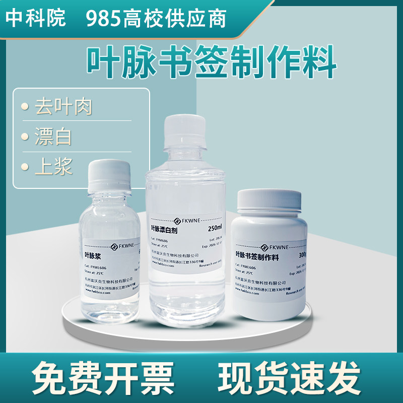 叶脉书签diy树叶制作叶脉刺绣