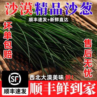 【顺丰包邮】顺丰甘肃民勤新鲜沙葱1/2/3/4/5/斤野菜沙葱直供店
