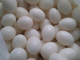 鸽具 假蛋 赛鸽鸽环 鸽具 信鸽观赏肉鸽子用品用具 足环包邮,宠物/宠物食品及用品,鸟禽其他,淘宝优惠券,粉丝福利购,淘宝优惠卷