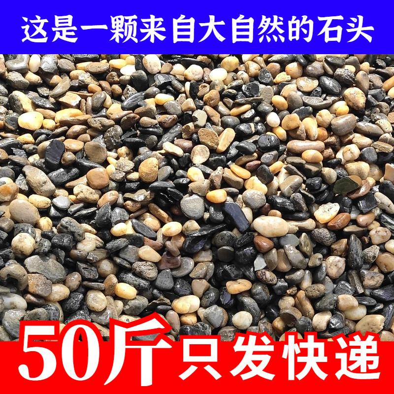 原生溪流石鹅卵石鱼缸底砂石头造景沙园艺景观装饰生态铺底小石子