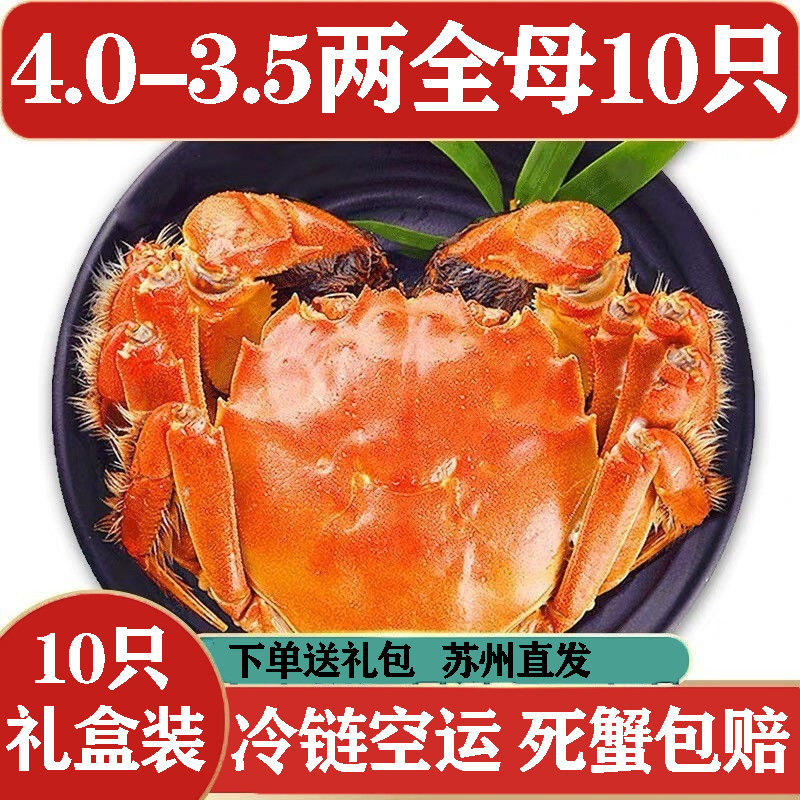 活蟹【3.5-4.0两全母10只】苏州螃蟹鲜活大闸蟹河蟹大螃蟹礼盒装
