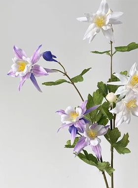 仿真花高品质耧斗菜花餐厅酒店样板间桌面摆设拍照假花装饰道具