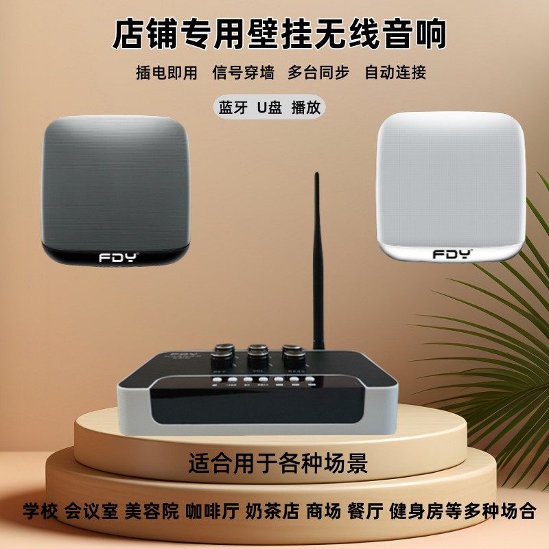 FDY原装无线壁挂蓝牙音响店铺专用家用学校会议室吸顶U盘塑料音箱