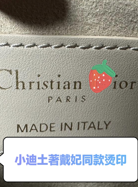 小迪奢侈包包刻字私人diy土著戴妃烫金烫印五金刻印logo定制打标