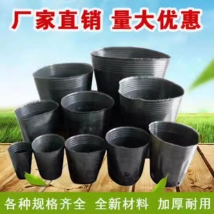 加厚营养钵育苗袋一次性塑料花盆育苗杯黑色果树育苗袋大号塑料