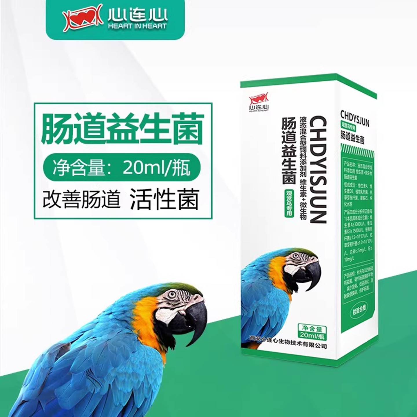 心连心肠道益生菌沙门肠道水便
