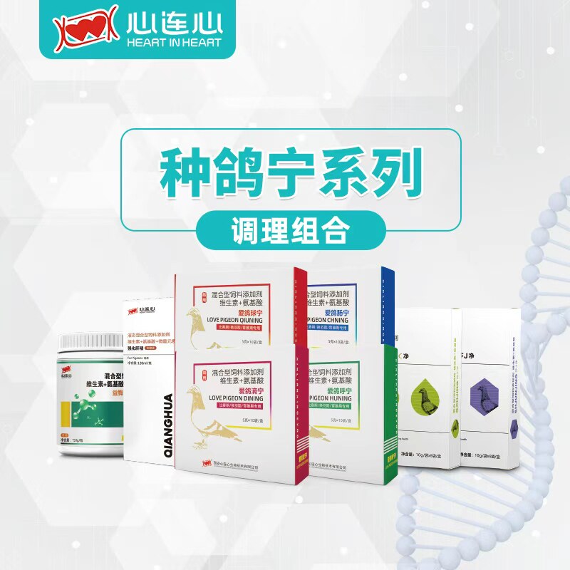 心连心种鸽调理套装种鸽育雏