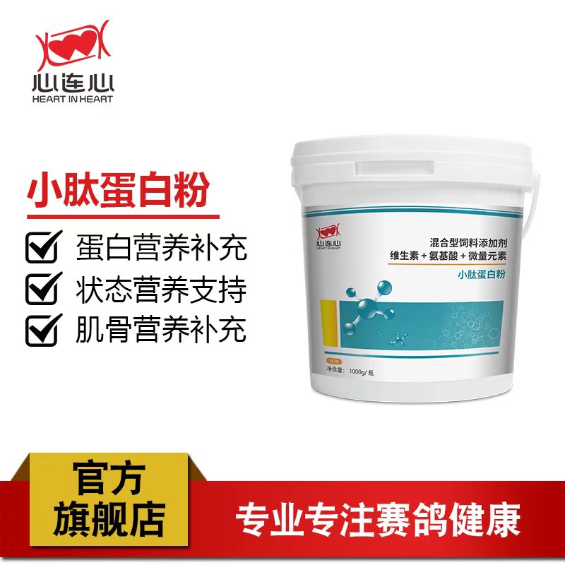 心连心蛋白粉种鸽育雏种鸽幼鸽
