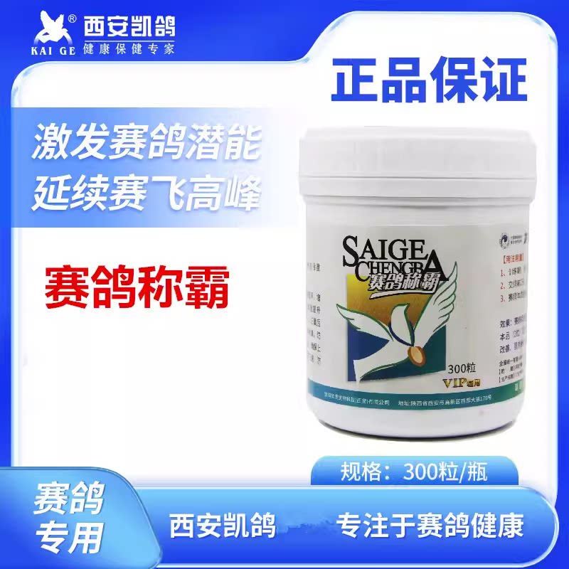 凯鸽赛鸽称霸比赛提速信鸽非鸽药