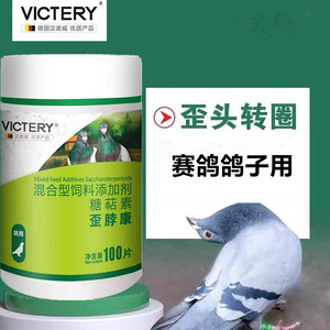 汉诺威歪脖康甩头歪转圈歪头摇头
