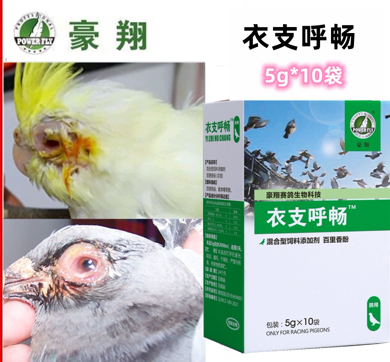 豪翔衣原体呼吸道单眼伤风鹦鹉鸟