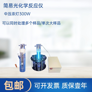 光催化/光降解/光化学石英冷阱式反应器内照式反应器中压汞灯300W