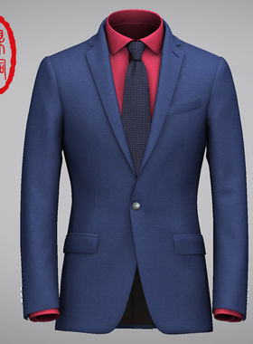 维达莱 Vitale Barberis Canonico 高端定制西服套装羊毛纯色面料