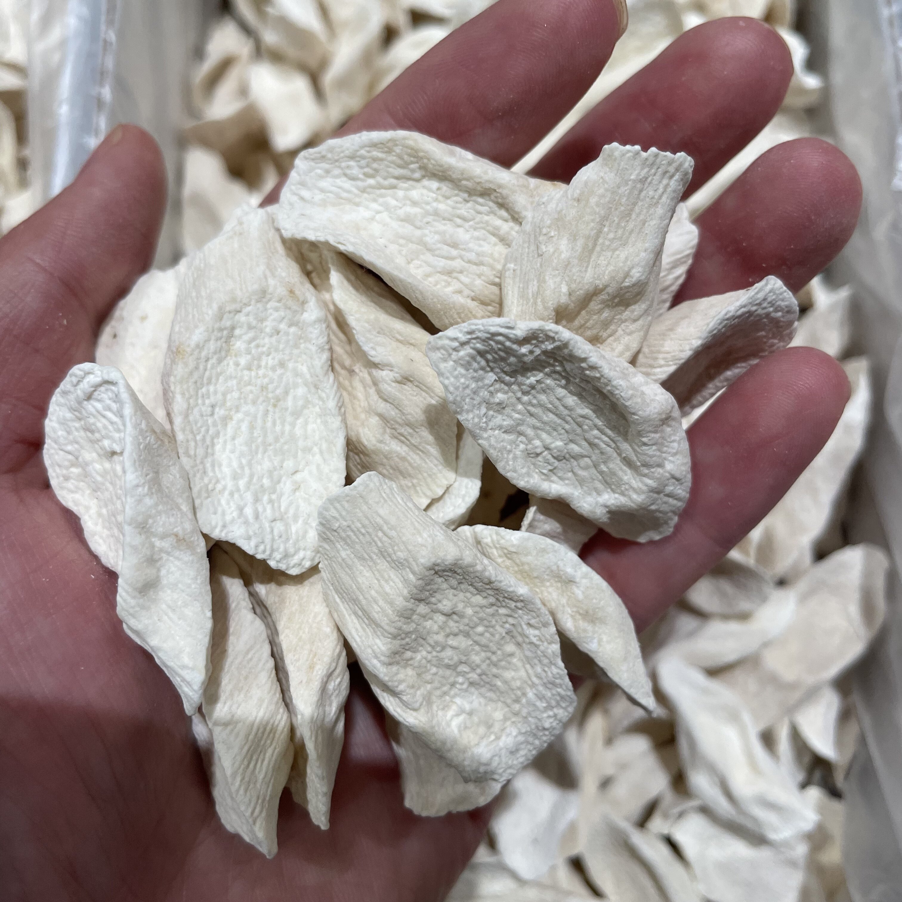 【易佑本草】市场山药柳叶片斜片铁棍垆土山药优质选货1000克