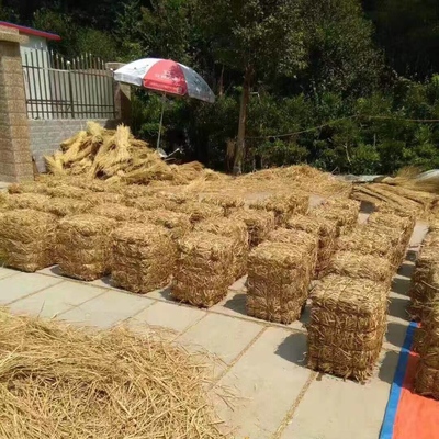 婚庆拍摄道具圆形场景布置草垛