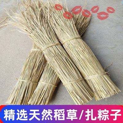 天然新鲜干稻草扎肉扎粽子