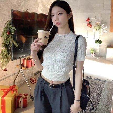 韩系2025新款女夏季简约圆领麻花针织短袖T恤针织衫修身显瘦