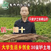 河南铁棍怀山药新鲜5斤淮山垆土铁杆铁棍特产特级 梁氏