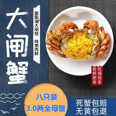 江西鄱阳湖®大闸蟹全母鲜活螃蟹8只3.0两现货鲜活 水产包邮团购