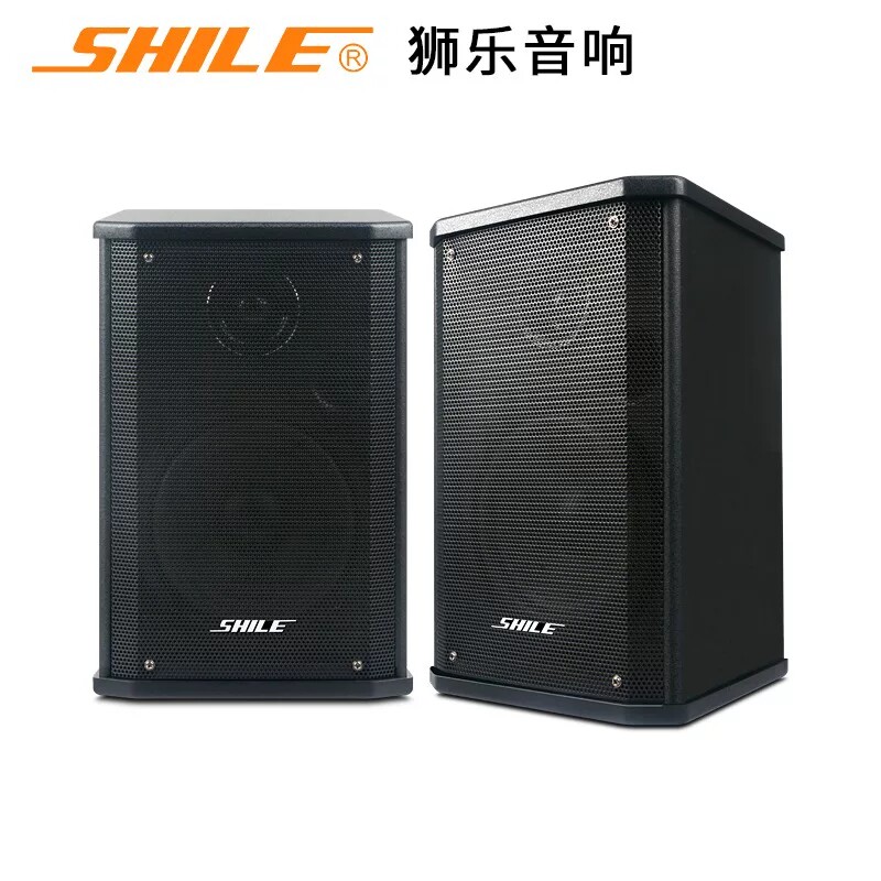 狮乐 BX101室内挂壁音箱高保真HIFI家庭影院背景音乐会议教学音响