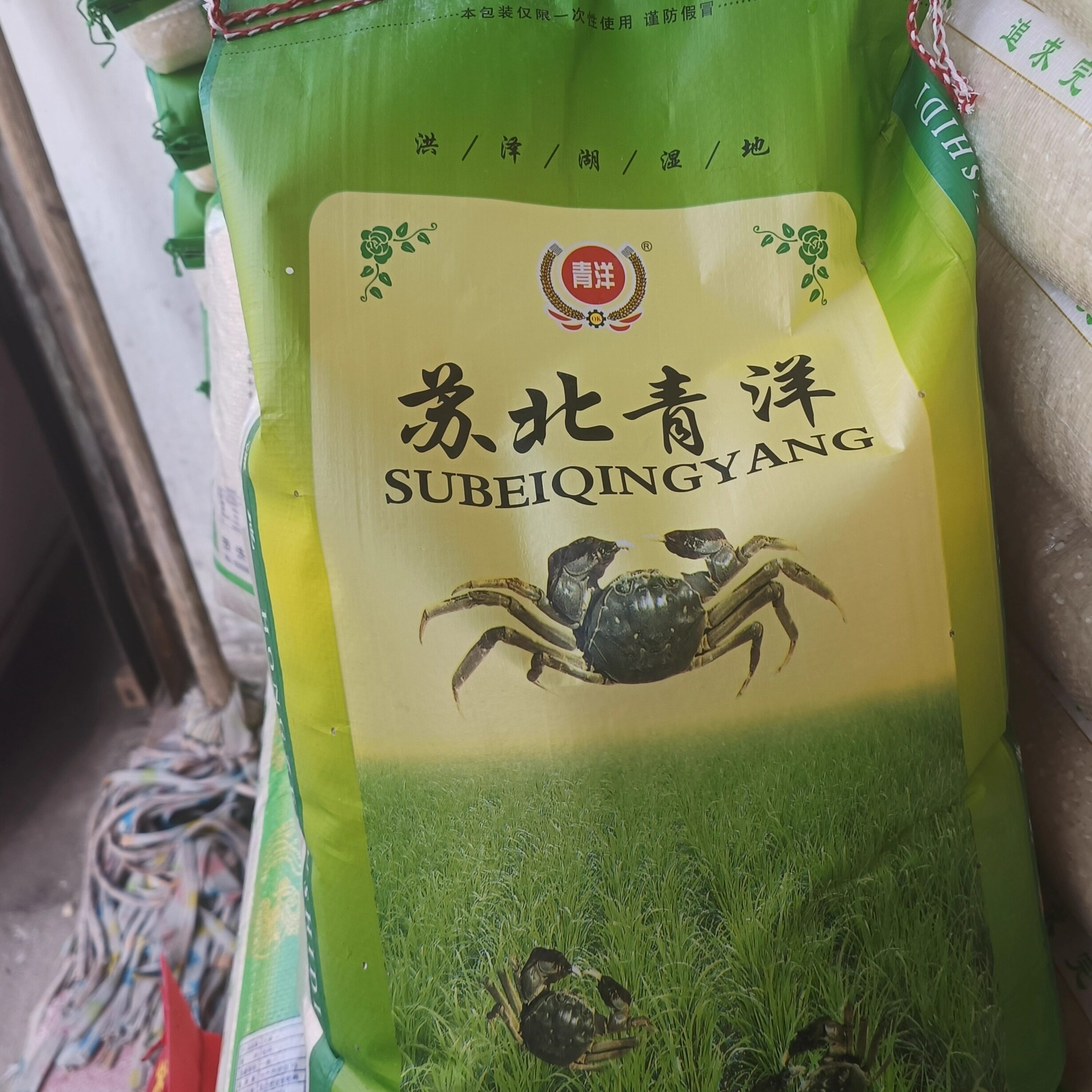 泗洪本地特产产苏北青洋大米新米食用大米一级稻谷香软大米10KG