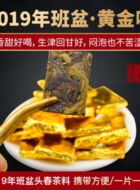 班盆头春大树黄金叶普洱生茶小片