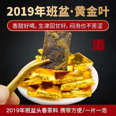 班盆头春大树黄金叶普洱生茶小片