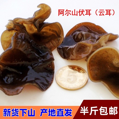 阿尔山特产伏耳云耳黑山木耳