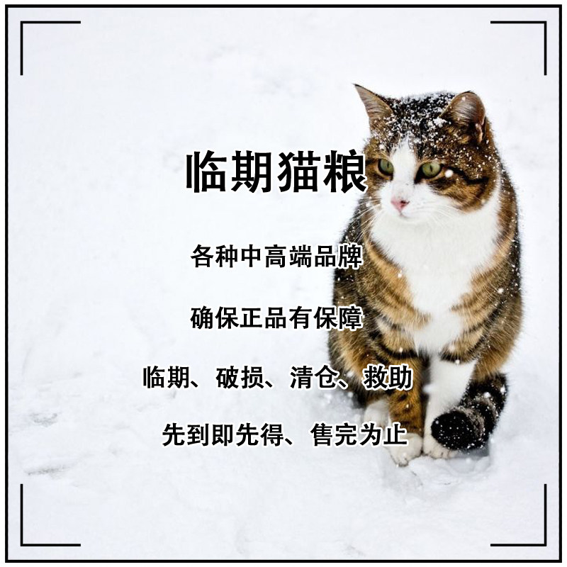流浪猫粮临期猫粮救助试吃装图片