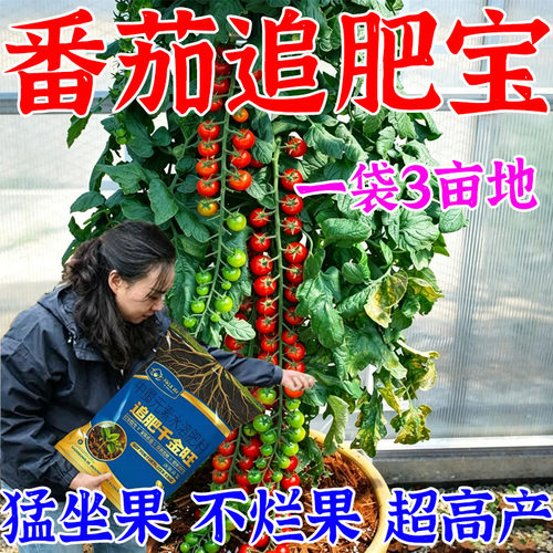 番茄追肥宝高产追肥生根壮苗壮棵促花防畸防裂高产专用膨大素正品