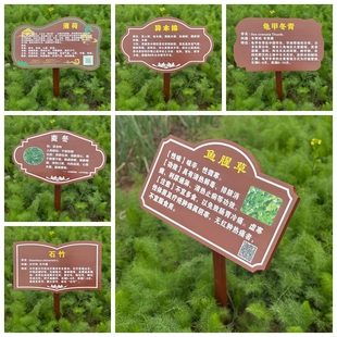 定制中草药牌简介牌植物介绍牌插地牌花卉品种牌树木名牌科普牌