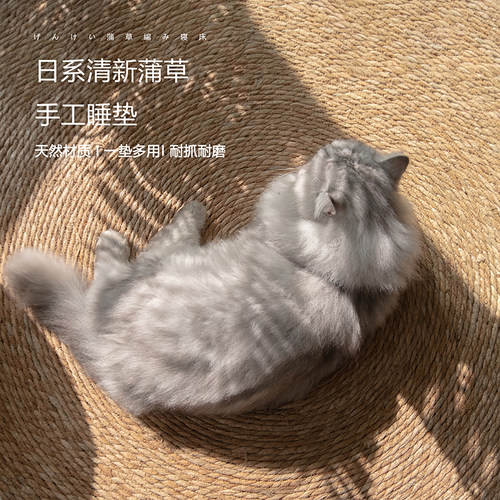 嗒小娅猫抓板耐抓耐磨一垫多用
