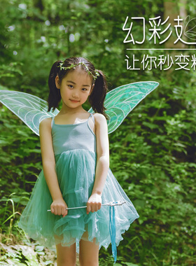 六一儿童幻彩蝴蝶奇妙仙子精灵翅膀天使透明大人维密翅膀演出道具