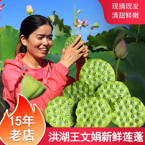 洪湖王文娟嫩莲蓬鲜嫩清甜空运