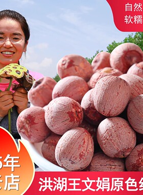 莲子洪湖王文娟25年带芯红莲500g红皮干莲子农家干货新莲子