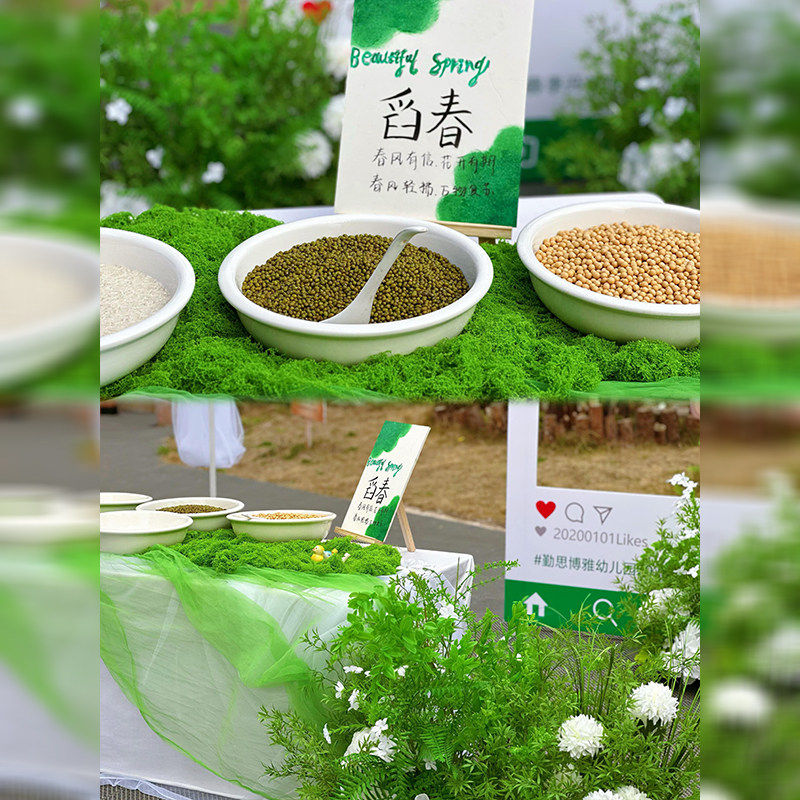 开学场景布置幼儿园环创材料仿真苔藓纱幔草地排签到台春季装饰品