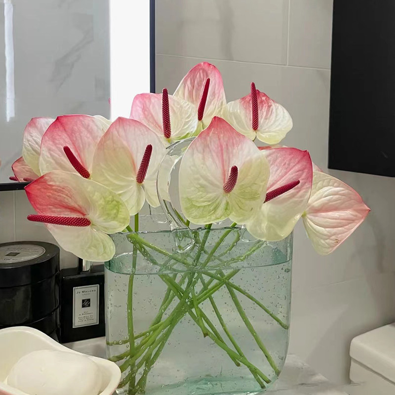 粉掌白掌植物室内水养红掌鹅掌红绿掌供佛鲜花鲜切花全国顺丰快递