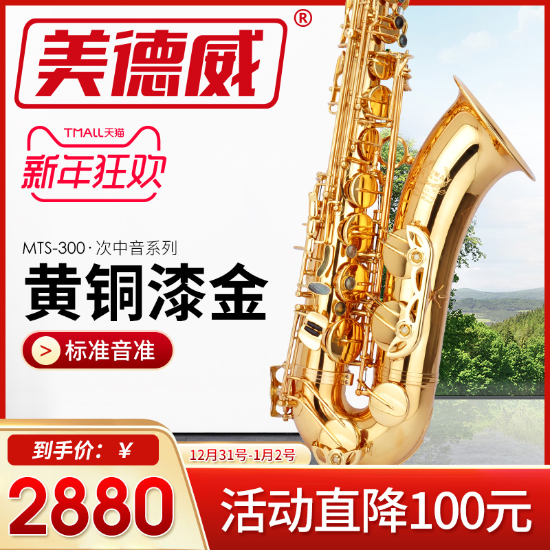Èø¿Ë˹ ÃÀµÂÍþÀÖÆ÷MTS-300 ½µBµ÷´ÎÖÐÒôÈø¿Ë˹·ç¹Ü ³ÉÈ˳õѧÕß