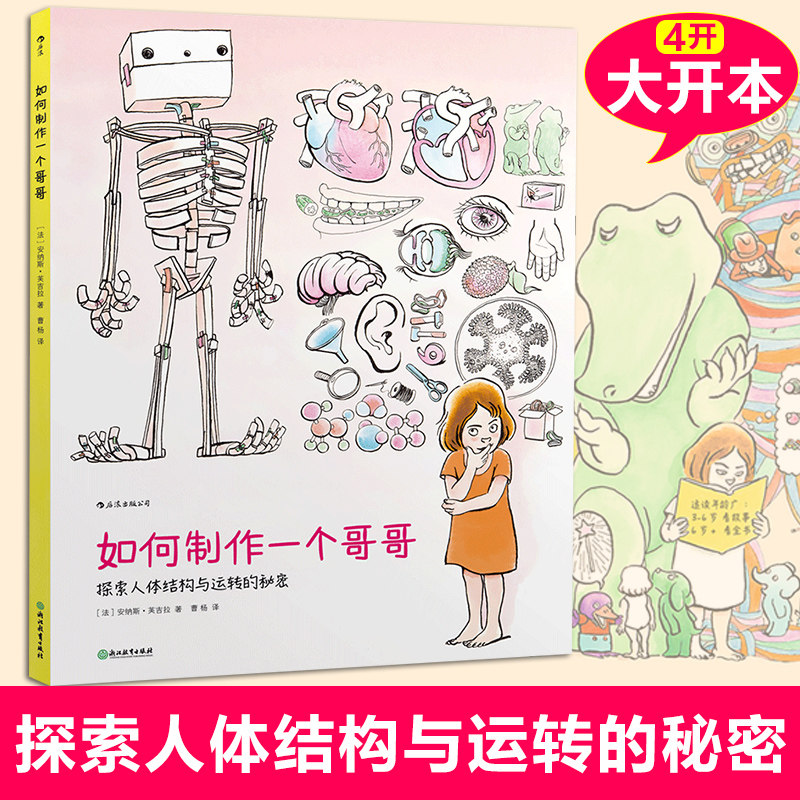 如何制作一个哥哥 人体结构书儿童3-6-8-12岁知识百科书籍 科学益智科普绘本少儿读物人体运转的秘密奥秘我们的身体 后浪正版