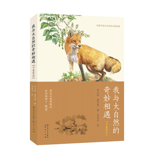 我与大自然的奇妙相遇(寻觅兽类)/探索中国大地自然生物故事7-9-12岁儿童亲近与大自然的故事 四五六年级小学生青少年科普百科